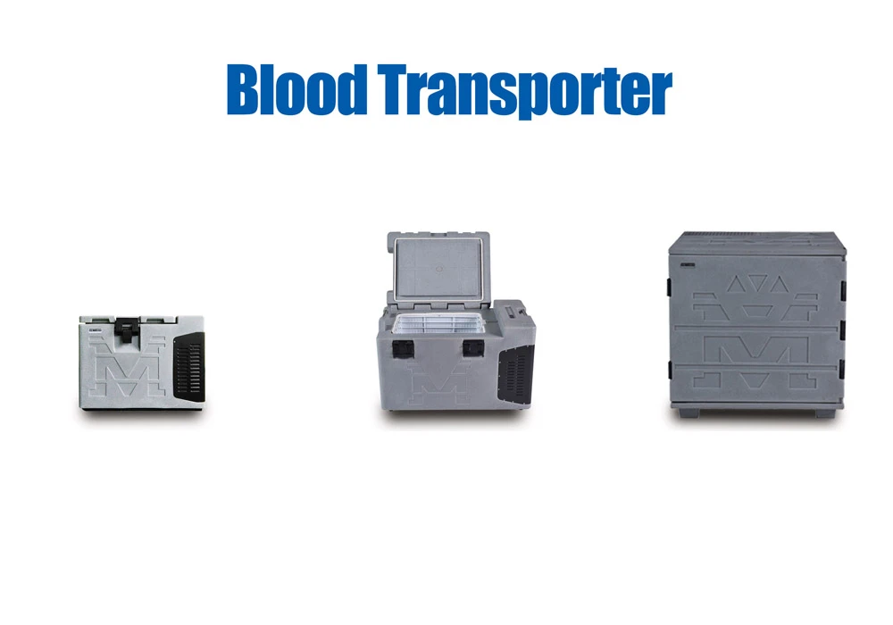 What are the 5 main things that blood transports?
