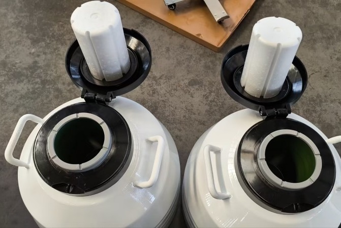 Liquid Nitrogen Tank: A Complete Guide to Definition, Types, Uses & Safety